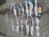 �g�� 20250215_154520.jpg