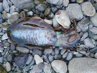 �g�� KIMG20251130_165649859.JPG