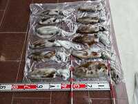 �g�� 20260302_171229.jpg